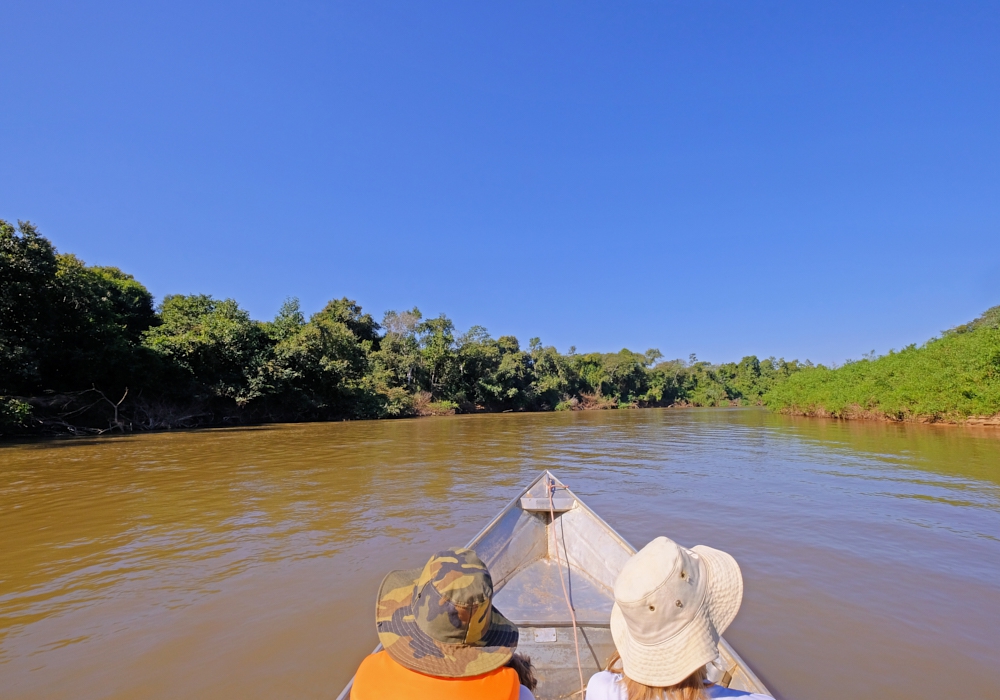 Day 14 – Pantanal