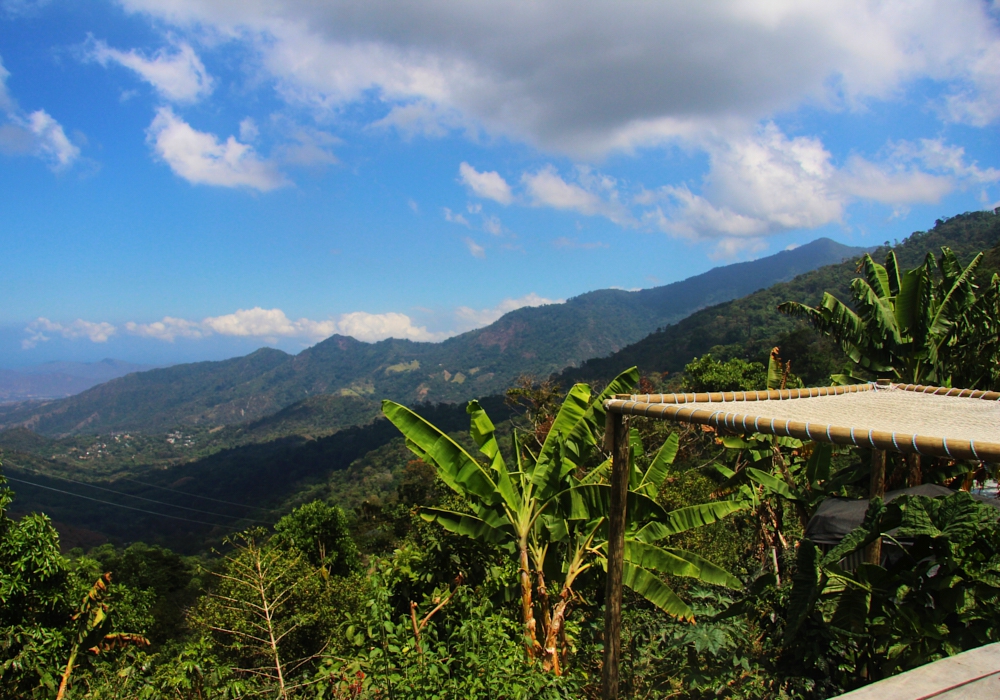 DAY 15 - Cartagena - Tayrona National Park