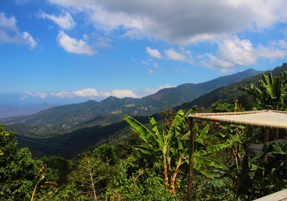 DAY 15 - Cartagena - Tayrona National Park