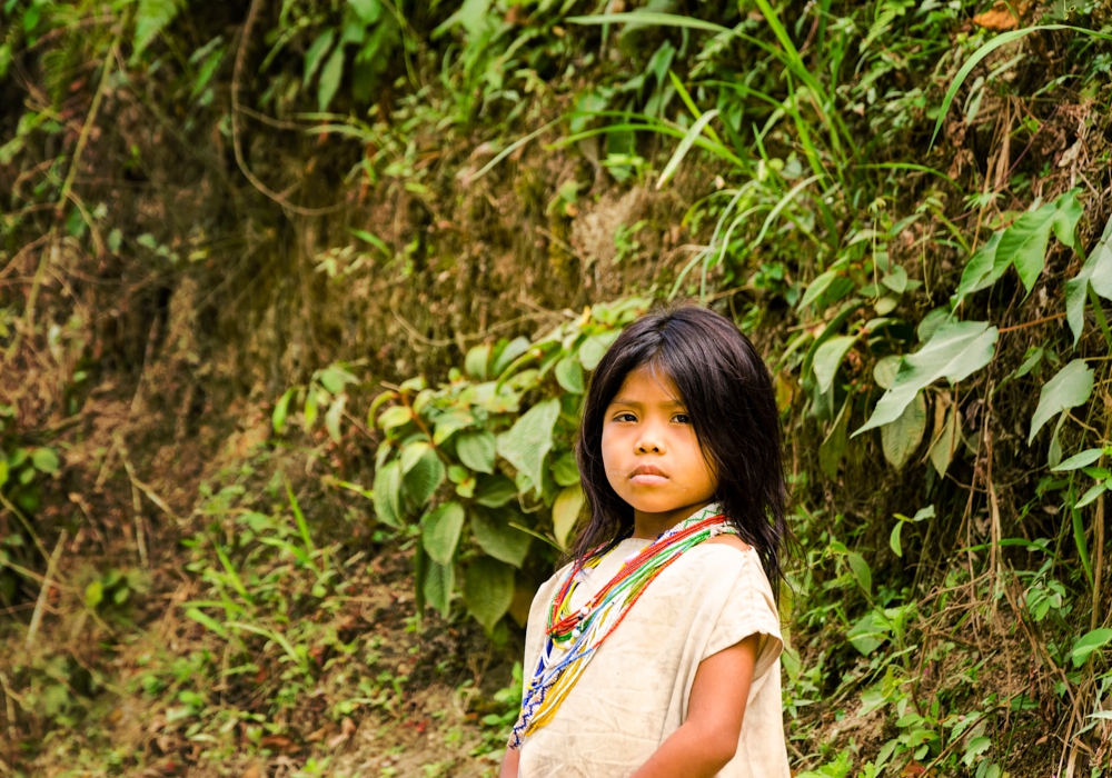 DAY 16 - Tayrona National Park