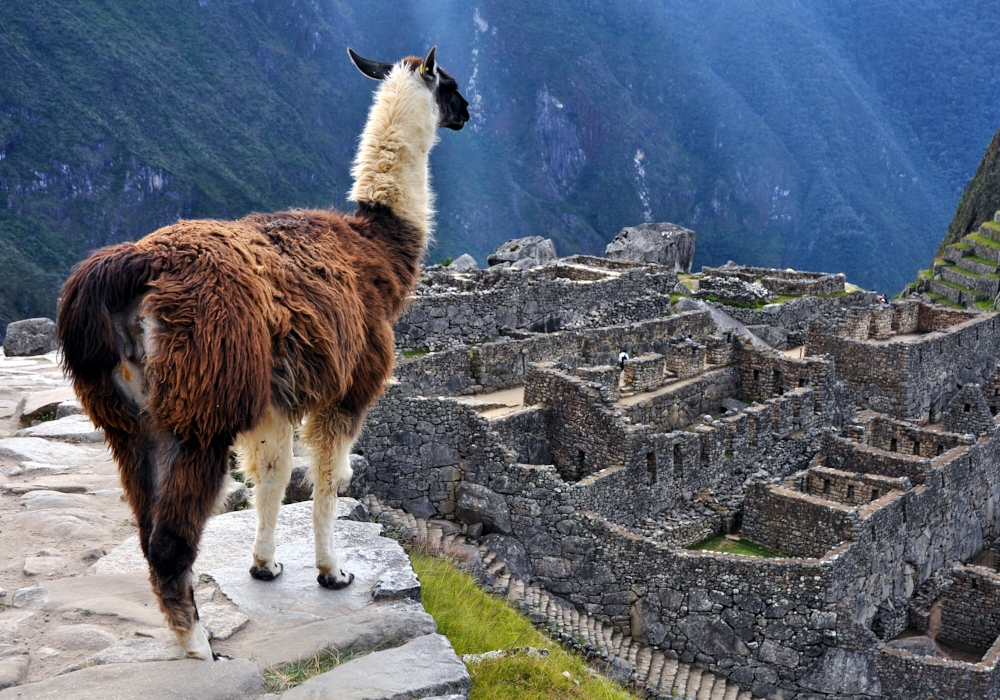 Day 2: Cusco – Aguas Calientes   On the way to Machu Picchu!!