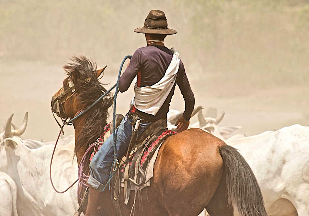 DAY 3 - La Aurora - Horse Ride