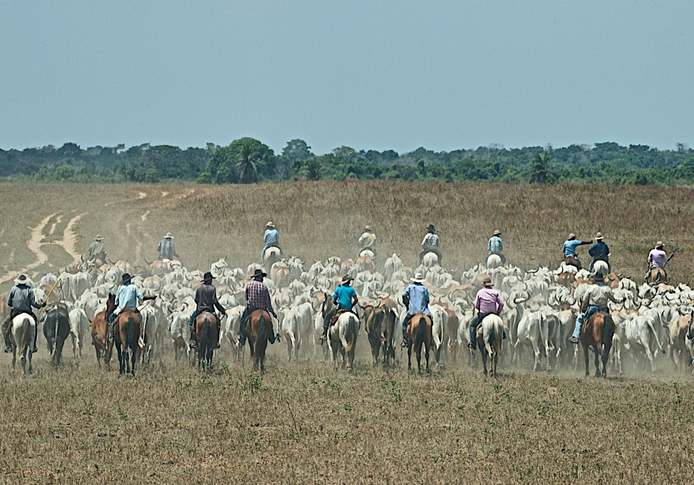 DAY 3 - La Aurora - Horse Ride