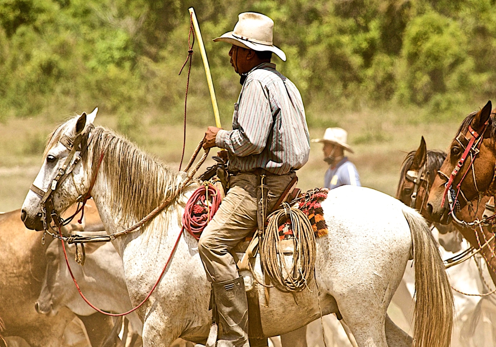 DAY 3 - La Aurora - Horse Ride