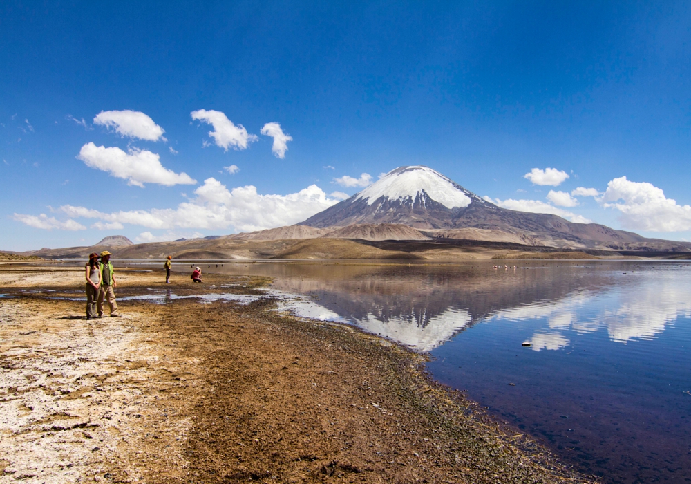 Day 3 - Pute - Lauca National Park - Putre