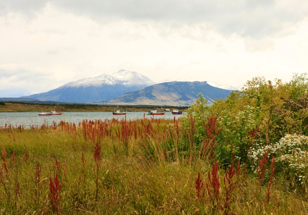 Day 3 - Santiago - Puerto Natales