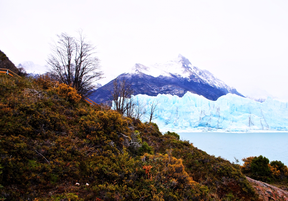 day 4 - CALAFATE – MORENO GLACIER