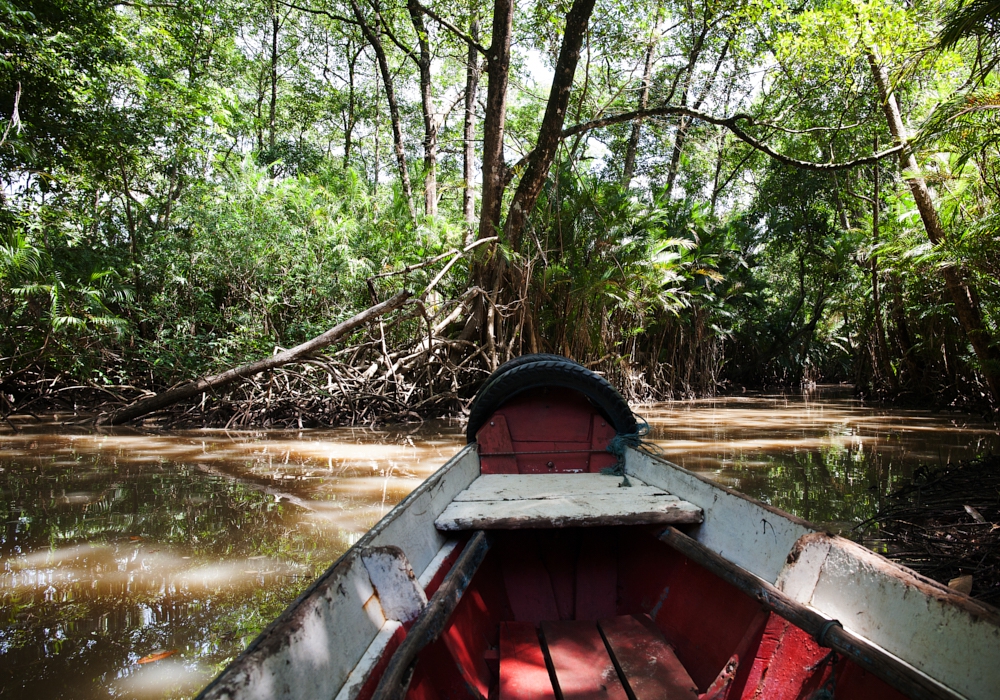 Day 4 - Cotijuba Island