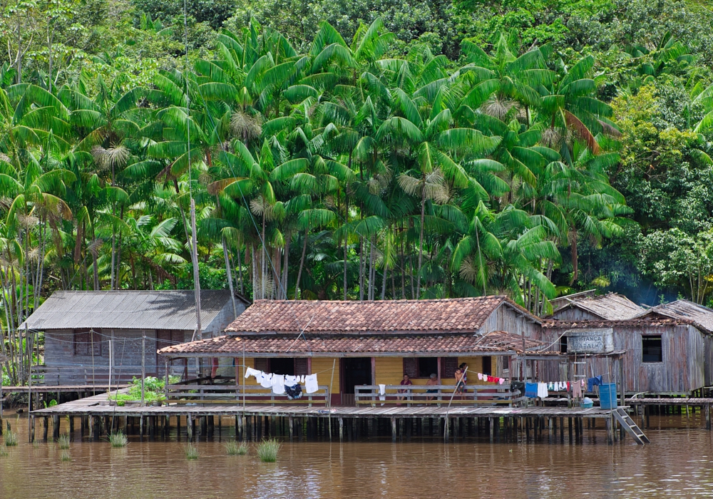 Day 4 - Cotijuba Island