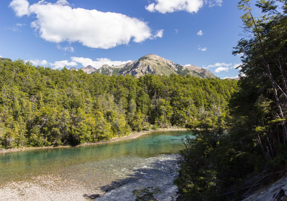 DAY 4 - ESQUEL