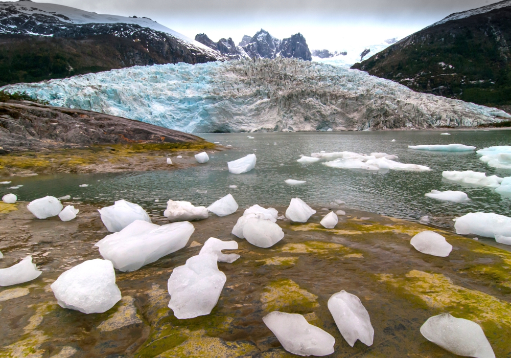 Day 4 - Pia Glacier - Glacier Alley