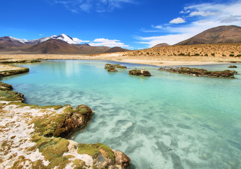 Day 4 - Putre - Surire Salt flat - Colchane