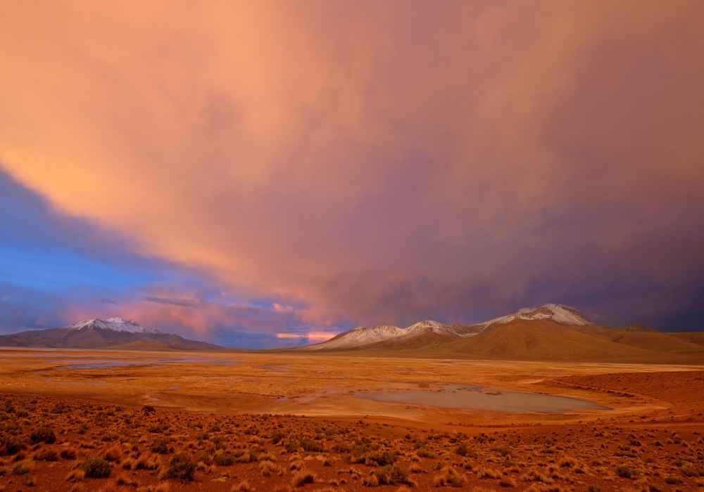 Day 4 - Putre - Surire Salt flat - Colchane