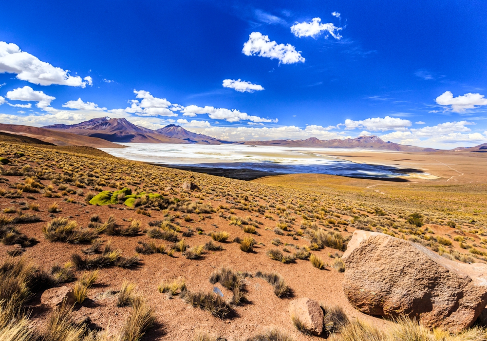 Day 4 - Putre - Surire Salt flat - Colchane