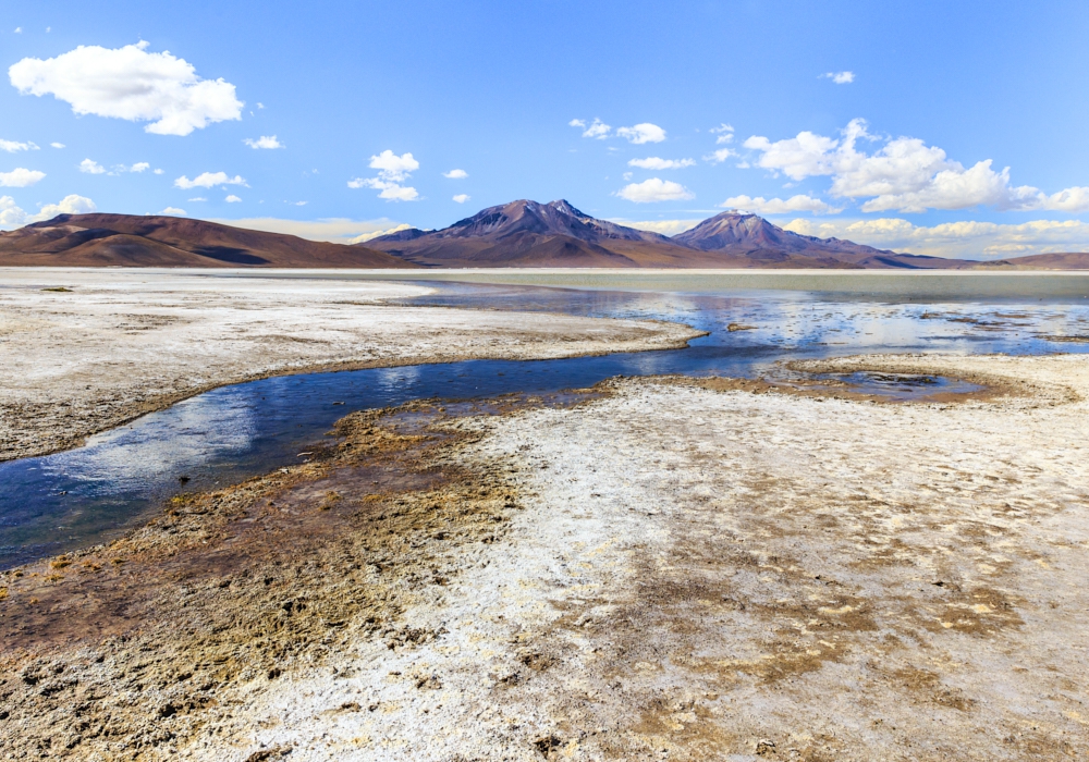 Day 4 - Putre - Surire Salt flat - Colchane