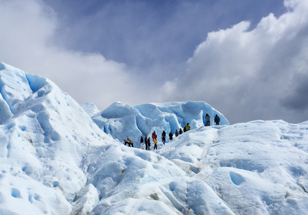 DAY 5 - CALAFATE