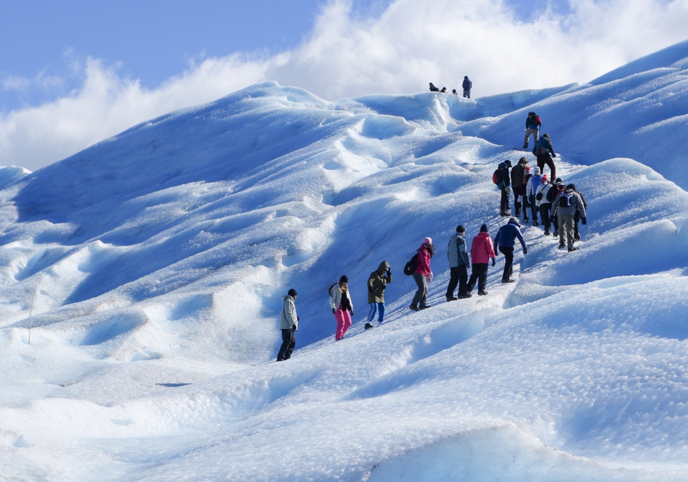 DAY 5 - CALAFATE