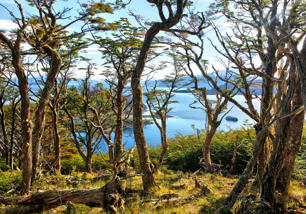 Day 5 - Cape Horn - Wulaia Bay