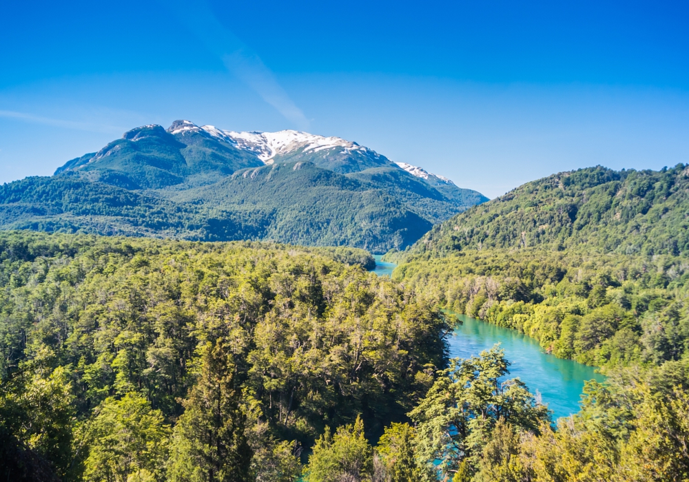 DAY 5 - ESQUEL