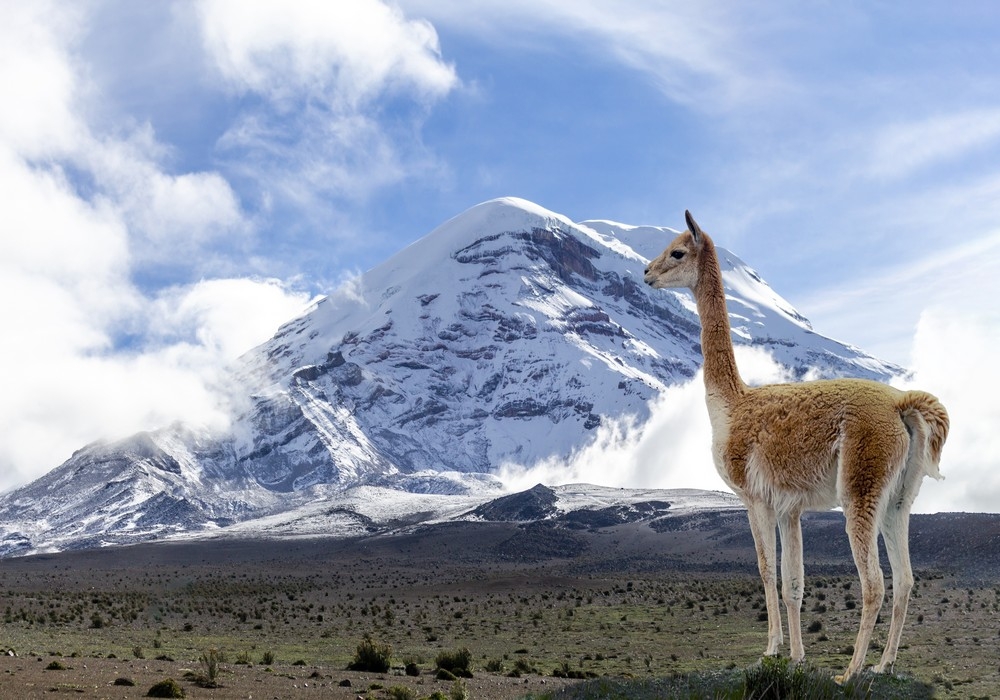 day 6 chimborazo volcano