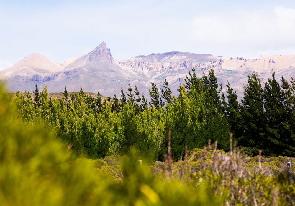 DAY 6 -  ESQUEL - LOS ANTIGUOS