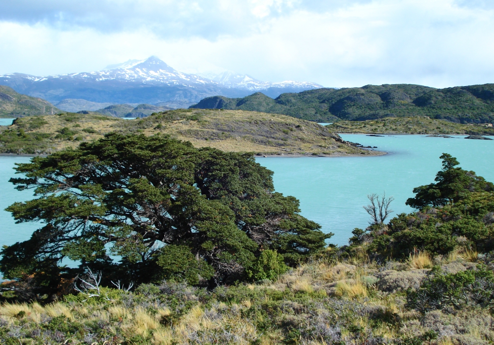 Day 6 - Hike - Francés Sector - Cuernos