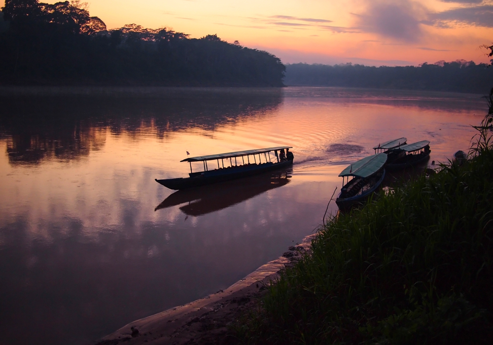 Day 6 - Rio de Janeiro - Manaus