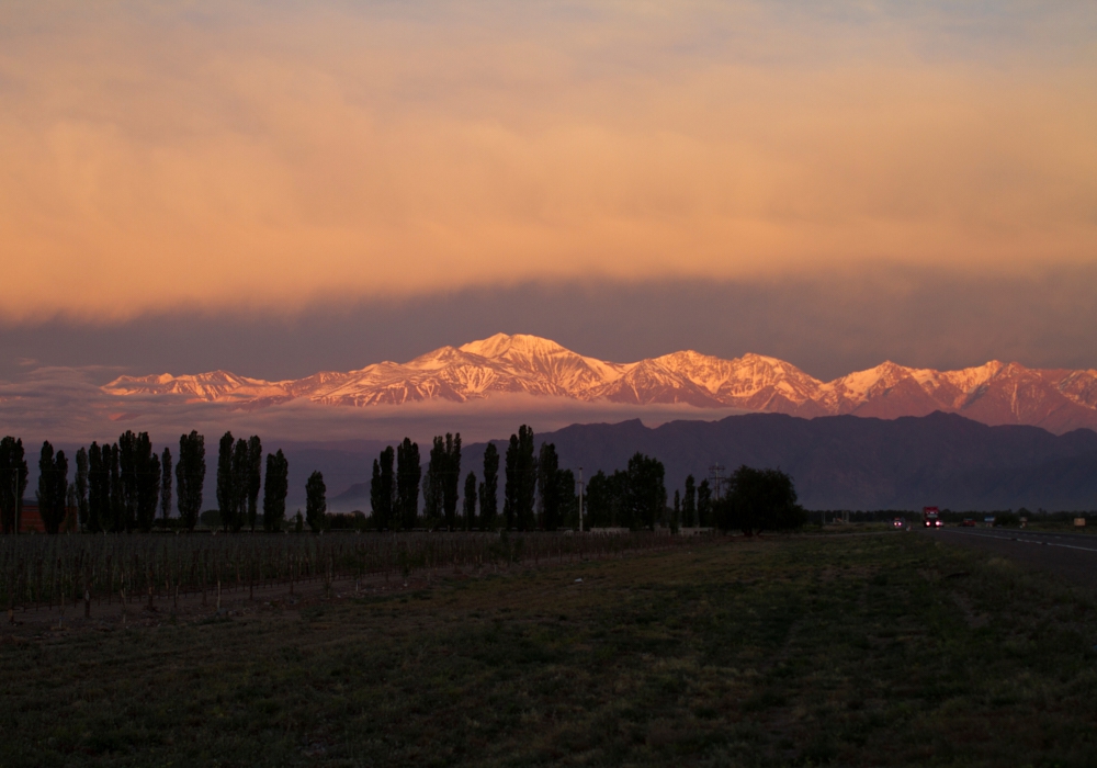 DAY 6 - SALTA - MENDOZA