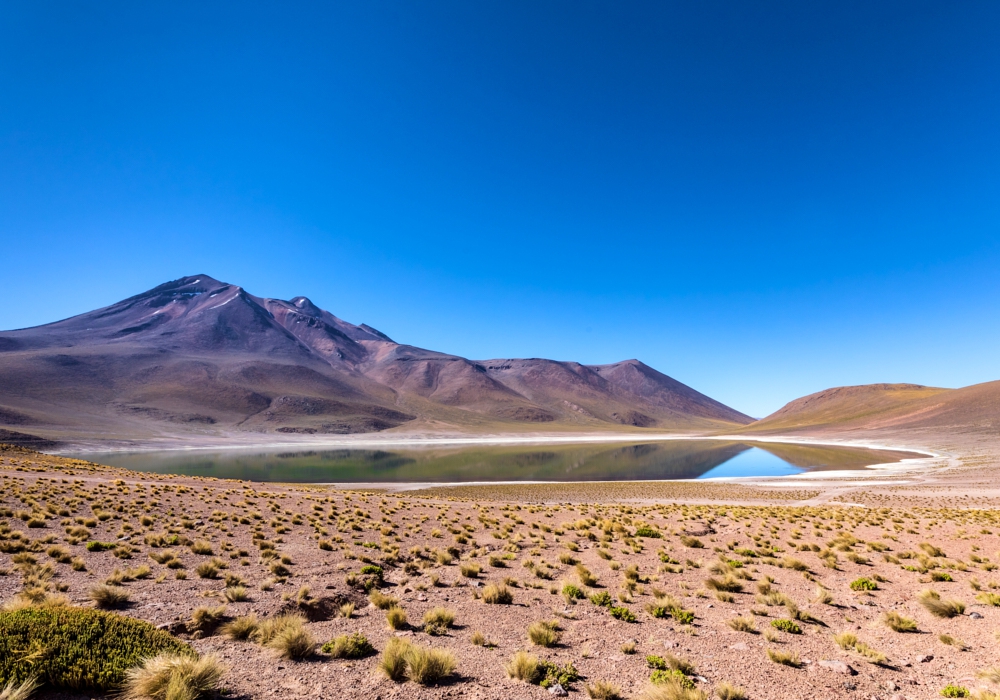 Day 6 - San Pedro de Atacama – Altiplanic Lagoons – San Pedro de Atacama