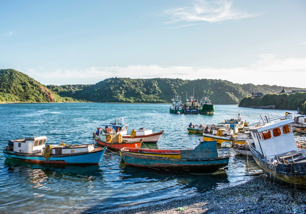 Day 7 - Chiloe Island