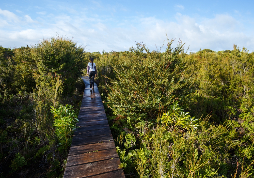 Day 7 - Chiloe Island