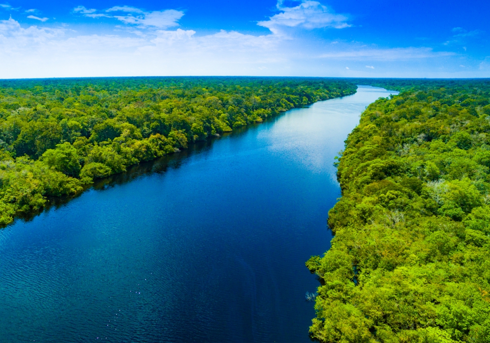 Day 7- Manaus Amazon Jungle