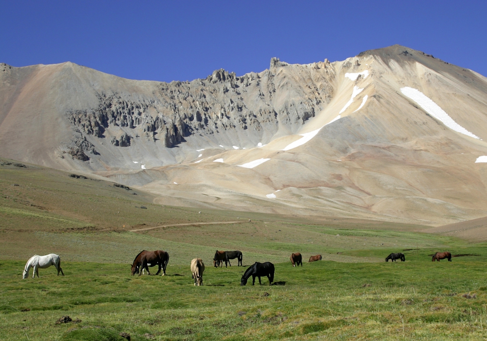 DAY 7 - MENDOZA