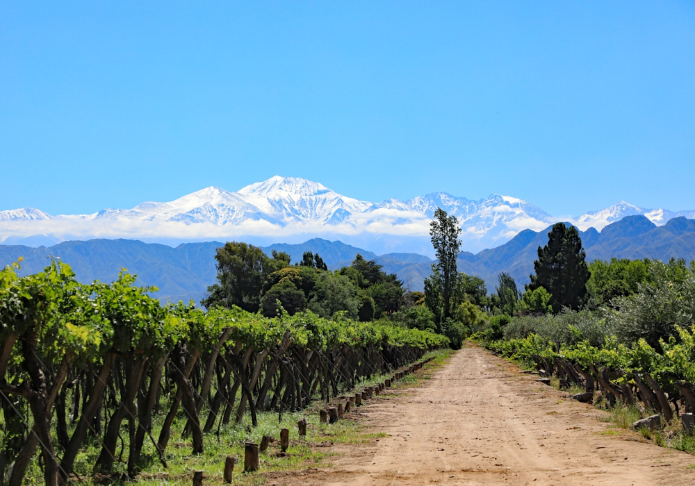 DAY 7 - PUERTO BEMBERG - MENDOZA