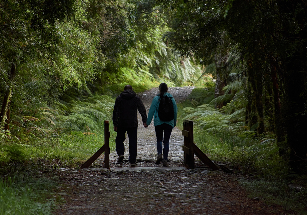 Day 8 - Chiloe - Puerto Montt - Punta Arenas