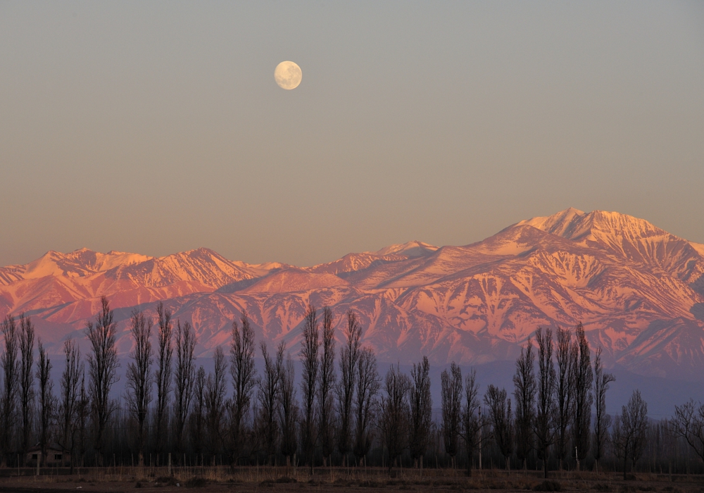 DAY 8 - MENDOZA