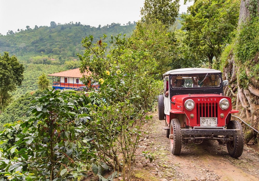 DAY 8 - Pereira - Buenavista – San Alberto Coffee Plantation - Pereira