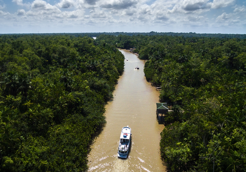 Day 9 - Amazon - Manaus -Belém