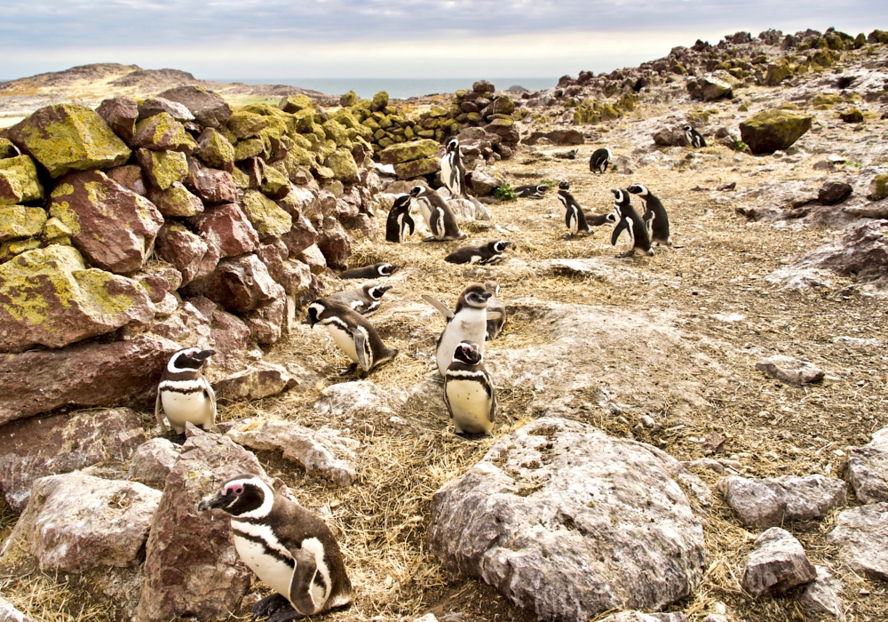 Naturally Patagonia day 11