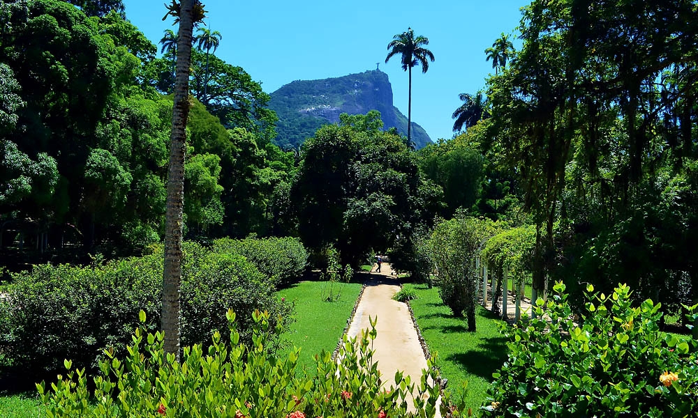 Rio de Janeiro - Botanical garden Park