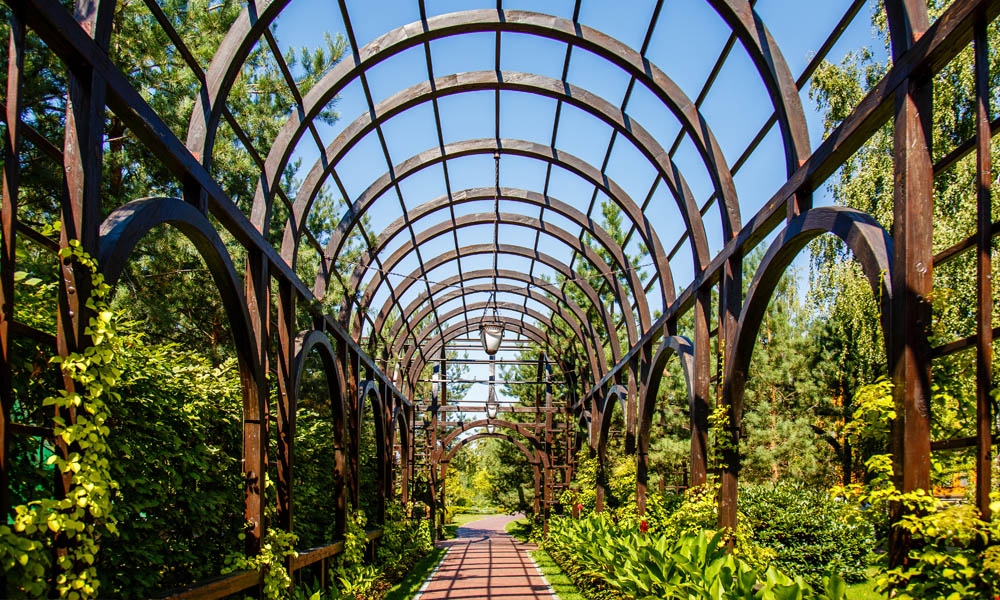 Rio janeiro -  Shady botanical garden