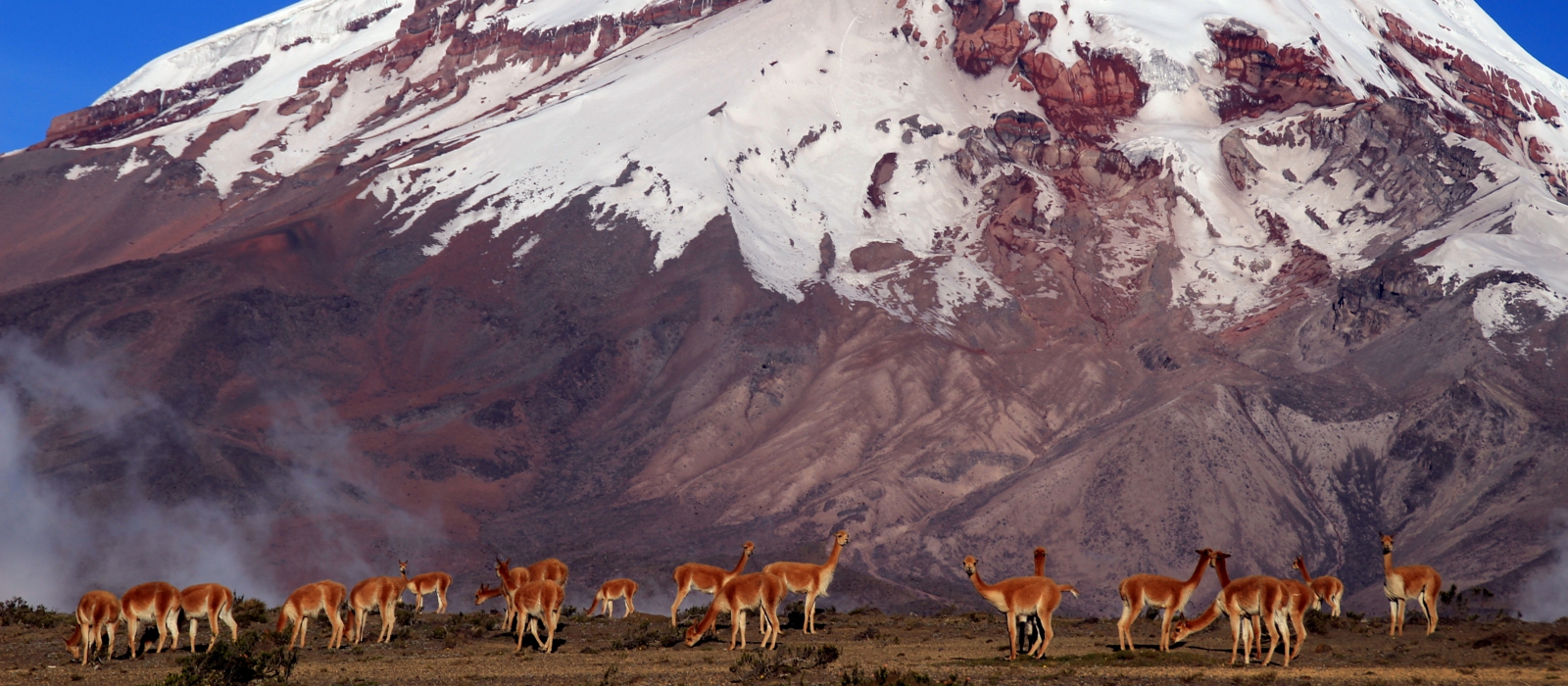 10 DAY AMAZON AND ANDES ADVENTURE