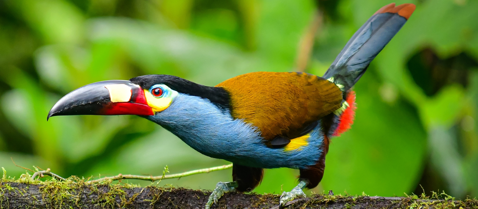 11 DAY ECUADOR ENCOMPASSED