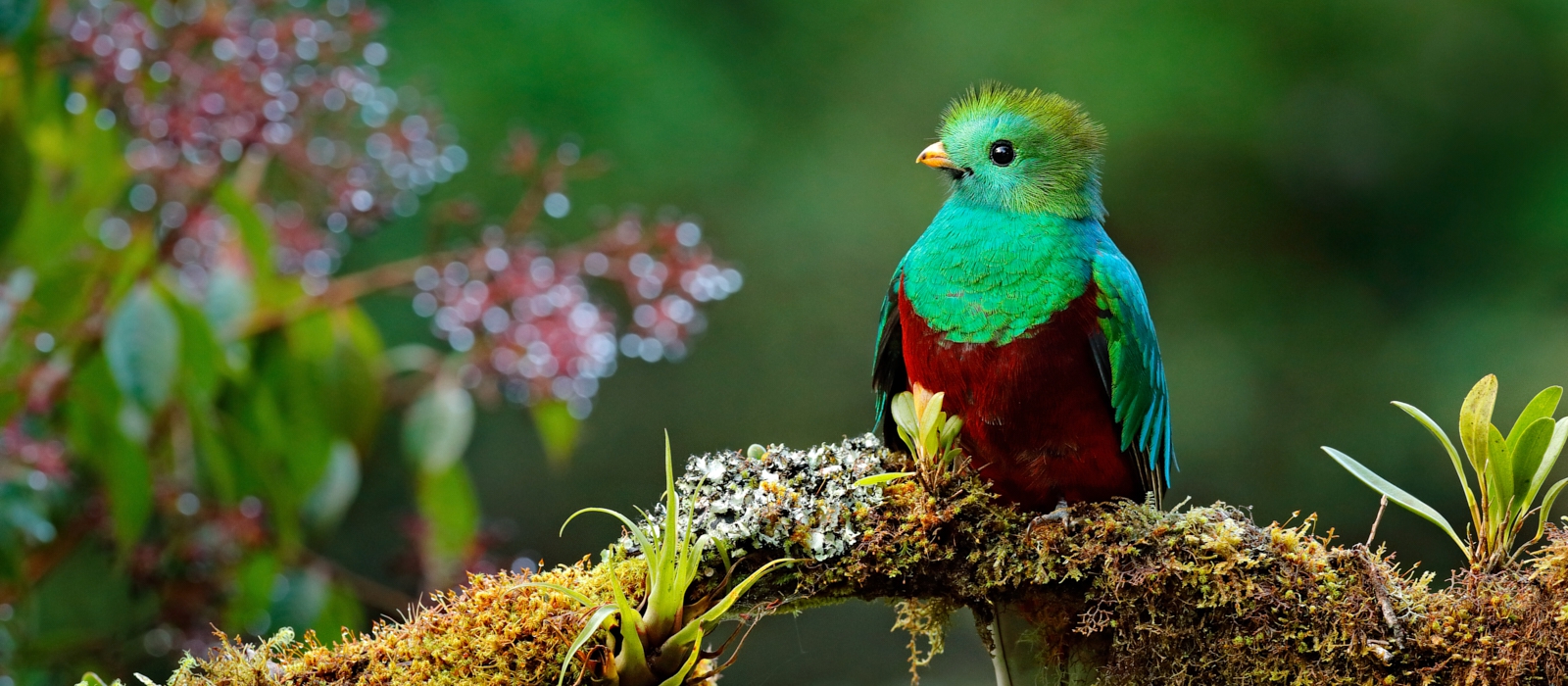 12 Day Guatemalan Culture And Nature