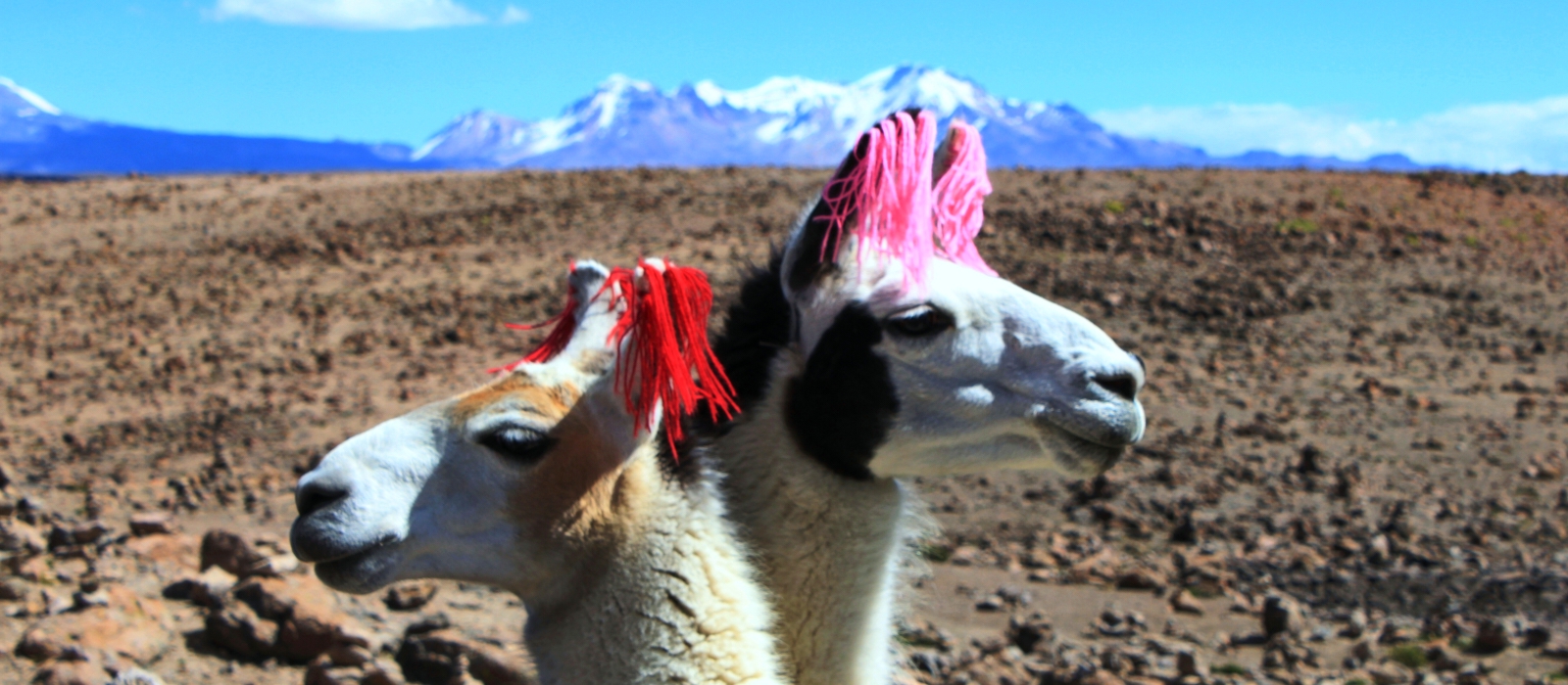14 Day – Peru Honeymoon
