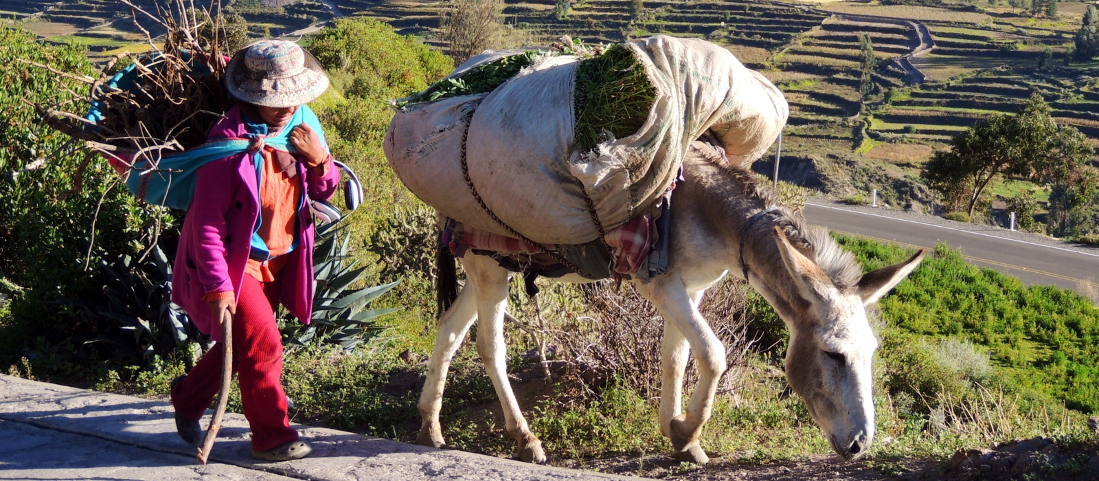 15 Day – The Best of Magical Peru & Amazon