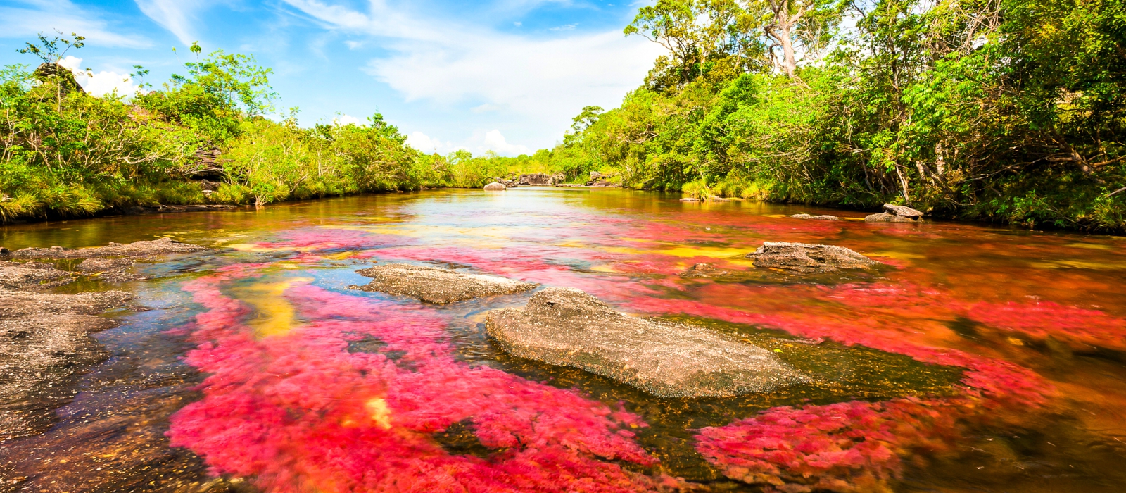 4 DAY CAÑO CRISTALES ADD-ON