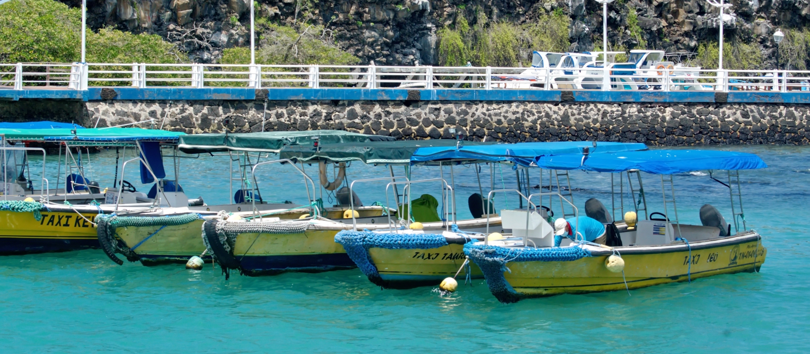 8 DAY LUXURY GALAPAGOS ESCAPE