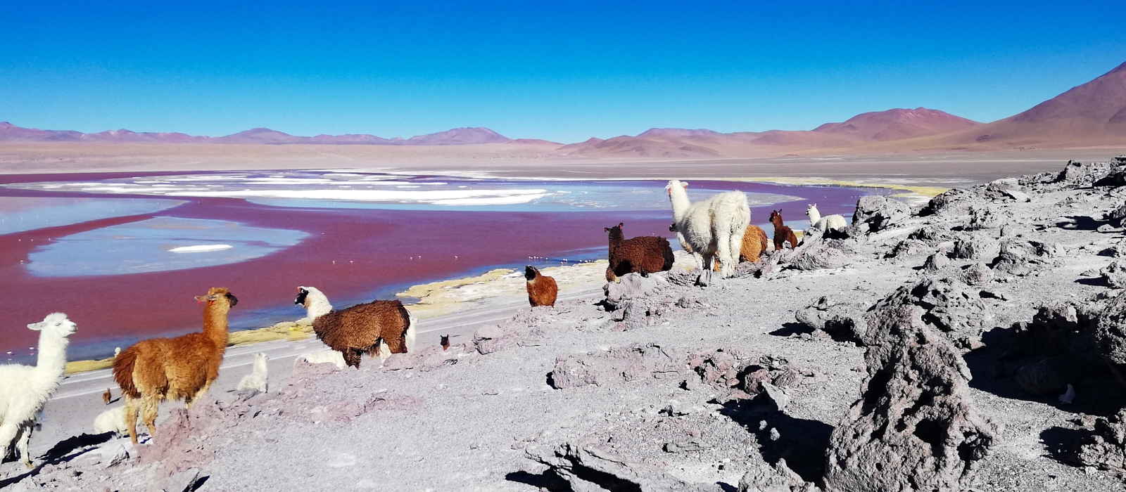 9 DAY LUXURY BOLIVIA