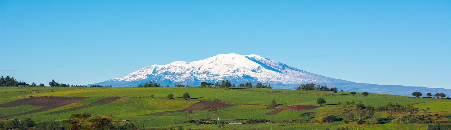 ave f the volcanoes banner